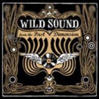 Wild Sound From The Past Dimension