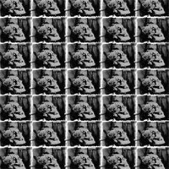 Copertina dell'album S/t, di Black Taper Taiga