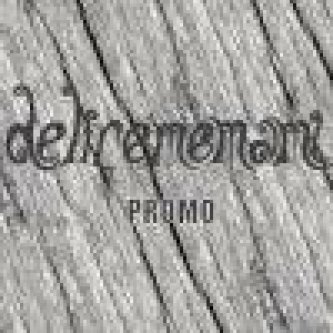 Copertina dell'album Demo 2004, di Delirememami