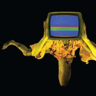 Destroy The Media Social Mask