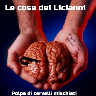 Polpa di cervello mischiata(sperimentale elettronico)