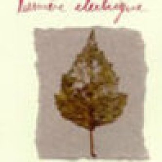 lumiere electrique