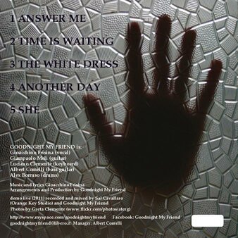 Copertina Posteriore Album