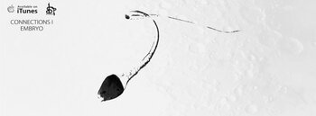 EMBRYO