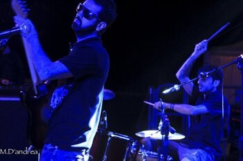 Zootique live