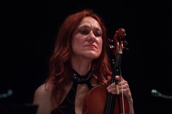 Violinista