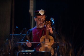 Il violista