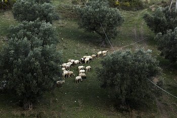 La Masseria Perugini