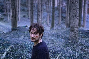 In the woods1