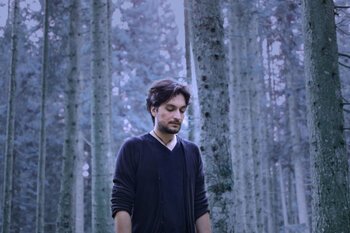 In the woods3