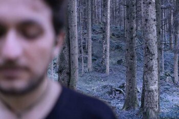 In the woods4