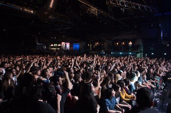 Il pubblico