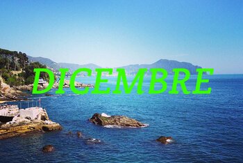 Correva il mese di dicembre: Girl With The Gun, The Zen Circus, A Toys Orchestra e gli incassi di Spotify