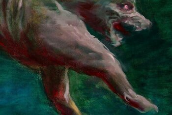 Appaloosa Bab nuovo album