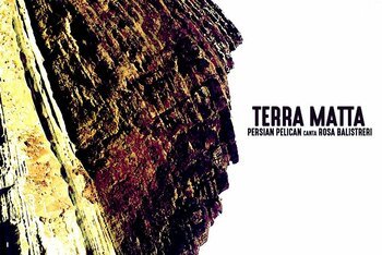 Persian Pelican "Terra Matta"
