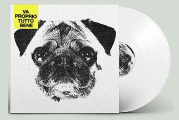 La copertina del vinile "Va proprio tutto bene" dei Pay