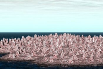 Solaris, illustrazione di Dominique Signoret