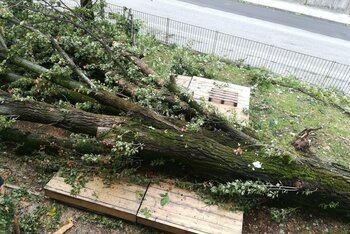 Il palco del Social Garden di Cas'Aupa, schiacciato da un albero