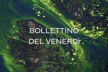 Il Bollettino della settimana #49