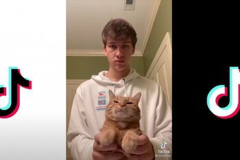 Un utente di TikTok mentre fa ballare il proprio gatto