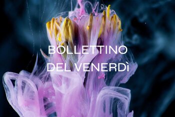 Il Bollettino della settimana #37
