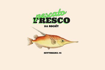 Pesce trombetta aka Macroramphosus scolopax