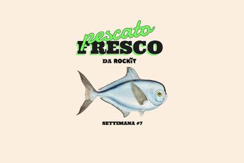 Il pesce castagna anche detto Brama brama o Brama rayi per gli amici e le amiche