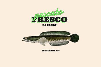 Una tenera Channa (striata); per le amiche Teste di serpente; per le amiche inglesi Snakehead