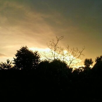 20140912_192058.jpg