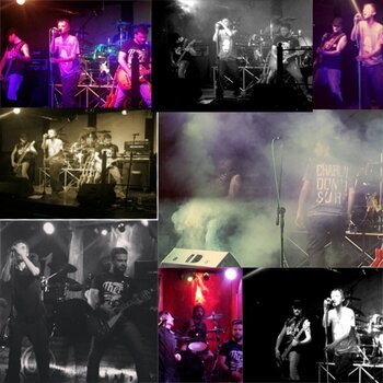 collage foto.jpg
