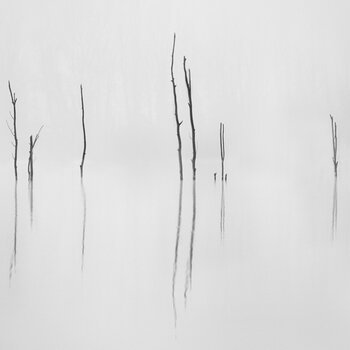 2 - Nebbia - Nico Cagarelli