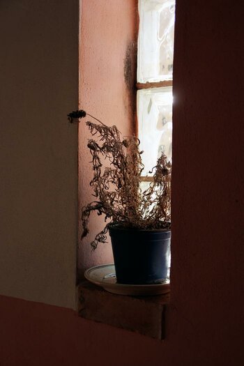 La Masseria Perugini