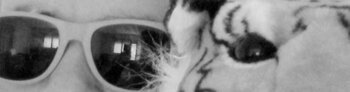 CAM00126.jpg