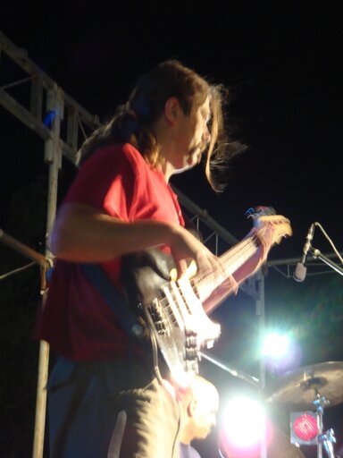 Robertone