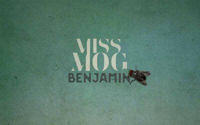 Benjamin & the Fly