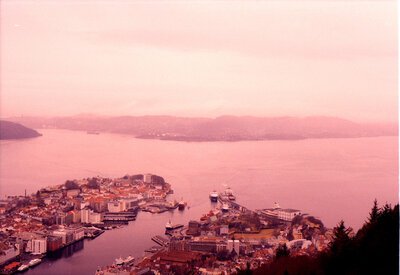 29-bergen-panoramica