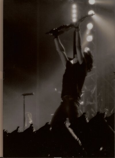 ligabue