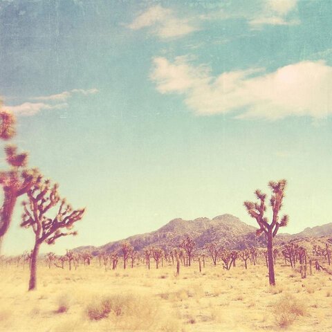 Dust & the Dukes Cover Photo.jpg