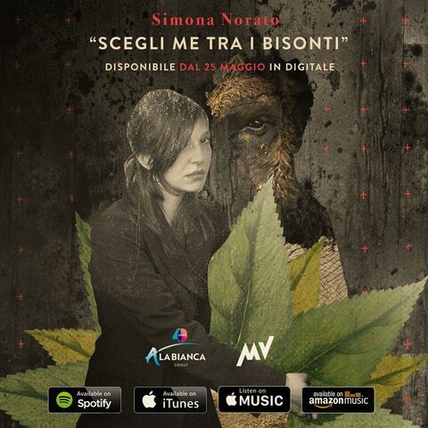 Scegli me tra i bisonti