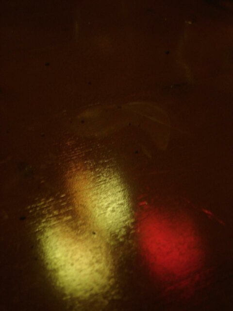 DSC05435