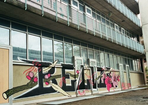 graffito Belize.jpg