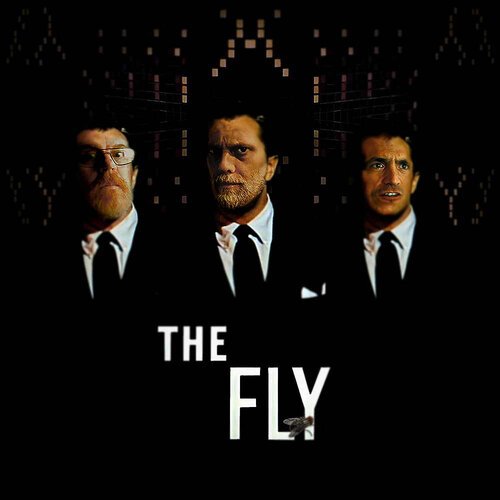 Miss Mog| The Fly