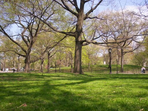 Central Park