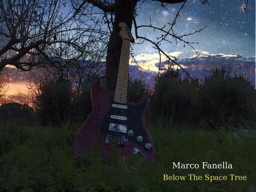 Below the space tree_COVER_OLD 2.jpg
