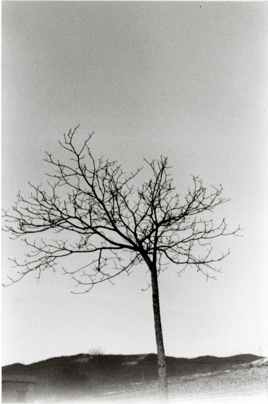 dietree []