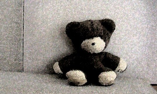 bear in a picture