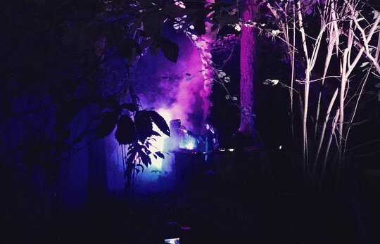 Jam Session in the Woods