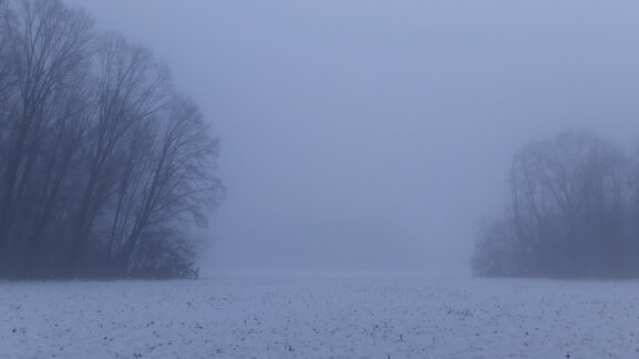 20201205_112537.jpg