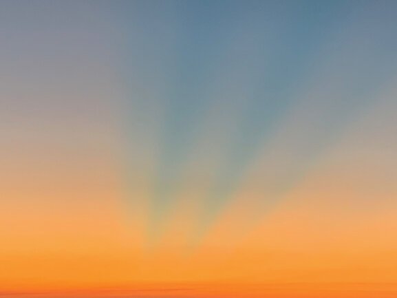 IMG_7368.png