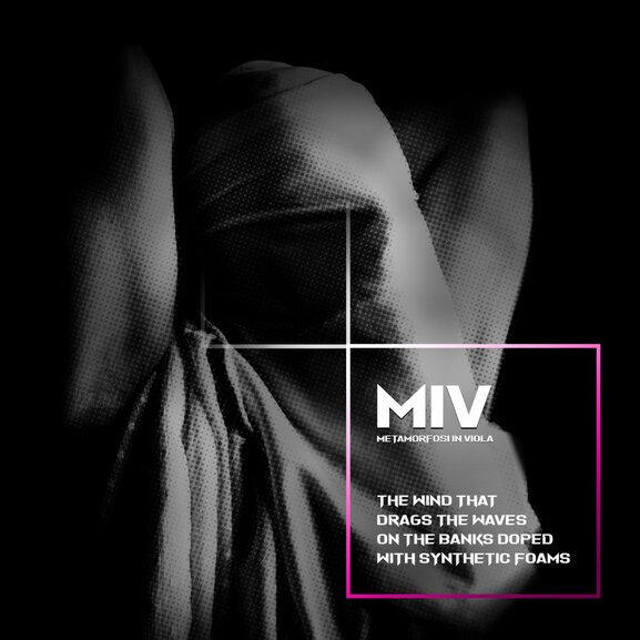 miv-sett22-cover.jpg